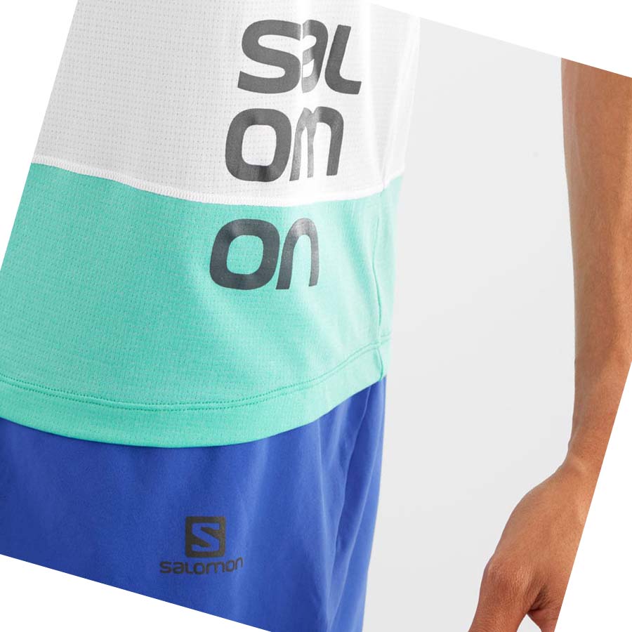 Camiseta Salomon CROSS RUN GRAPHIC Hombre Blancos | MX 3235PJJ